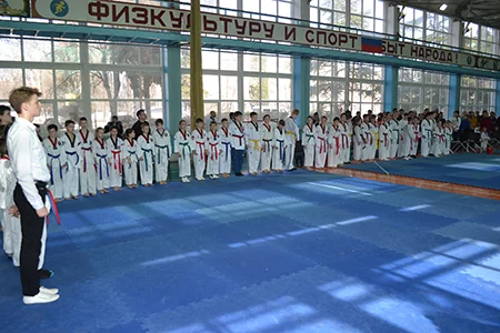 Чемпионат и Первенство г. Севастополя по тхэквондо 2019 — СК «Грандмастер»